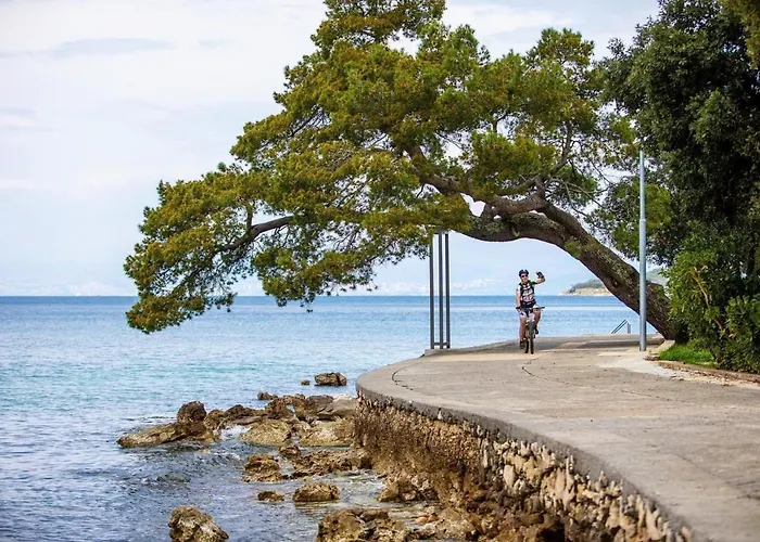 Apartment Oak Meadow Dobrinj