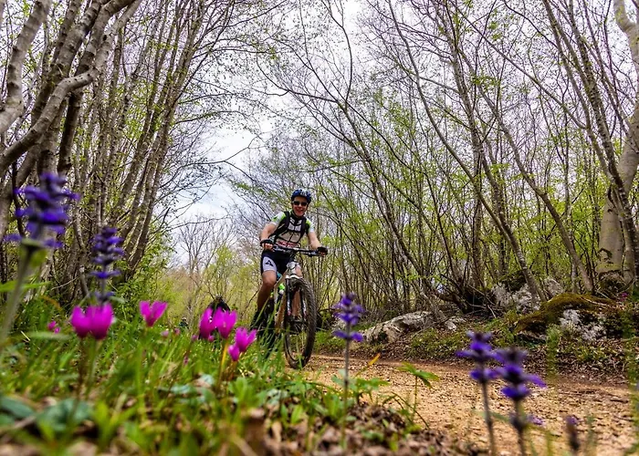 Oak Meadow Apartment