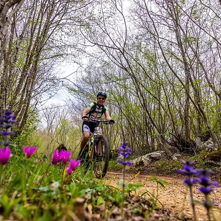 Oak Meadow Apartmán